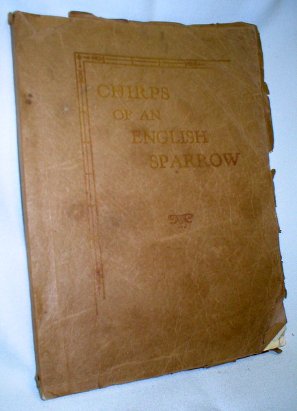Chirps of an English Sparrow