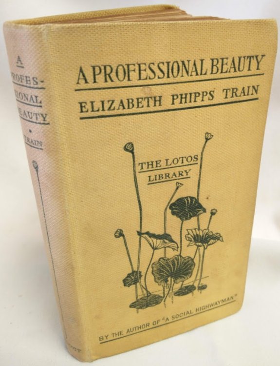 The Autobiography of a Professional Beauty