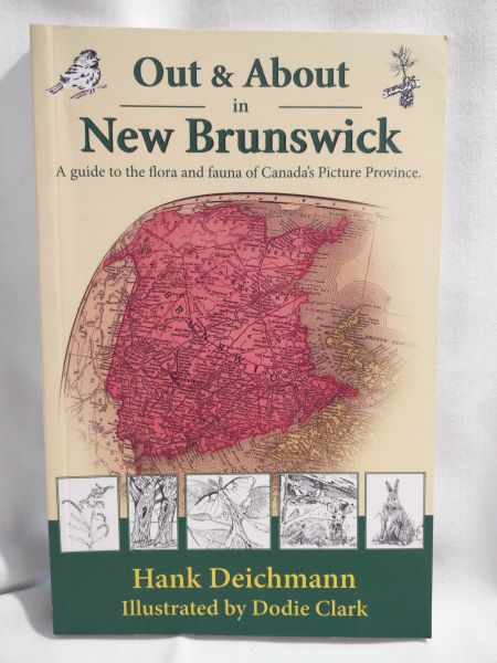 Out & About in New Brunswick