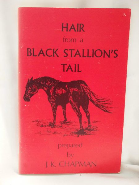 Hair From a Black Stallion's Tail