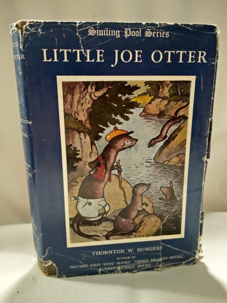 Little Joe Otter (Smiling Pool Series)