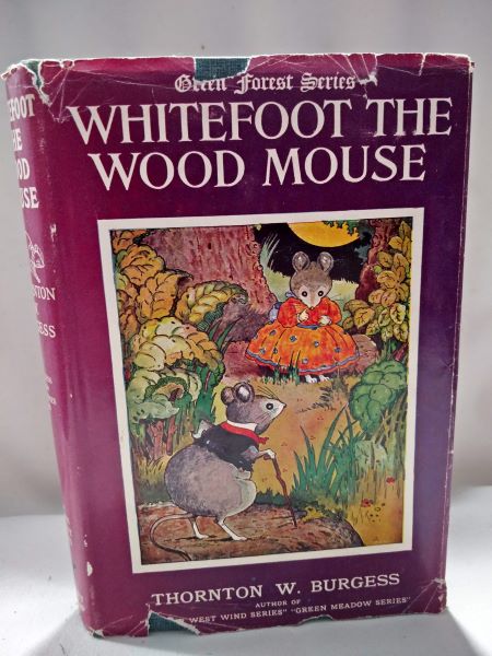 Whitefoot the Wood Mouse (Green Forest Series)