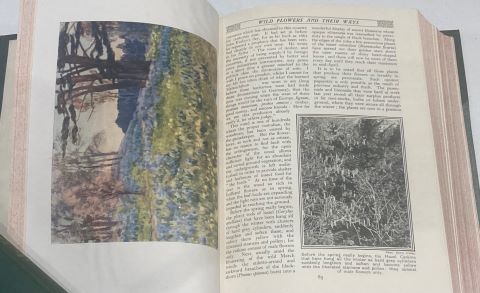 The Pageant of Nature