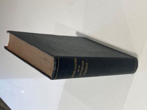 Histoire Illustre de la Litterature Francaise