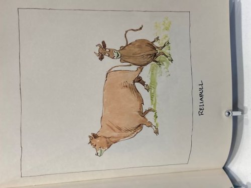 The Bull Pen
