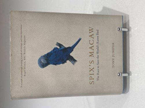 Spix's McCaw