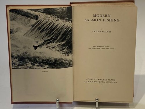 Modern Salmon Fishing
