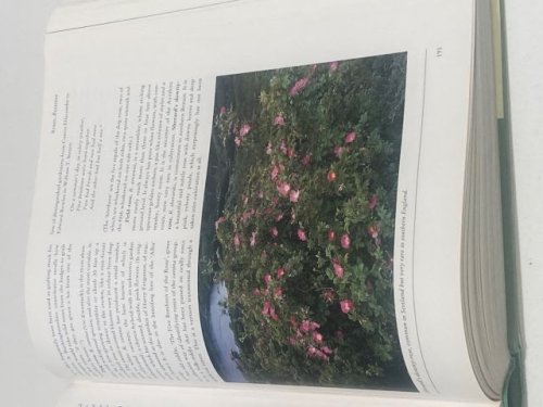 Flora Britannica
