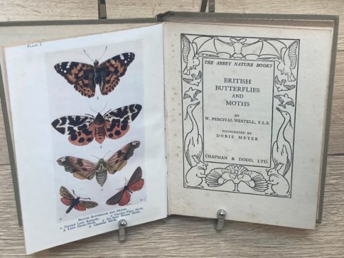 British Butterflies and Moths