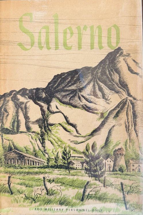 Salerno: American Operations from the Beaches to the Volturno - 9 September - 6 October 1943 (American Forces in Action Series)
