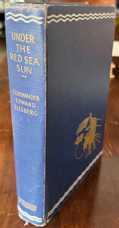 Under the Red Sea Sun