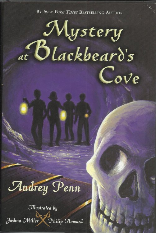 Mystery at Blackbeard's Cove