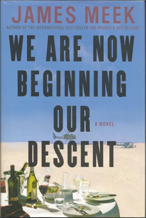 We Are Now Beginning Our Descent: A Novel