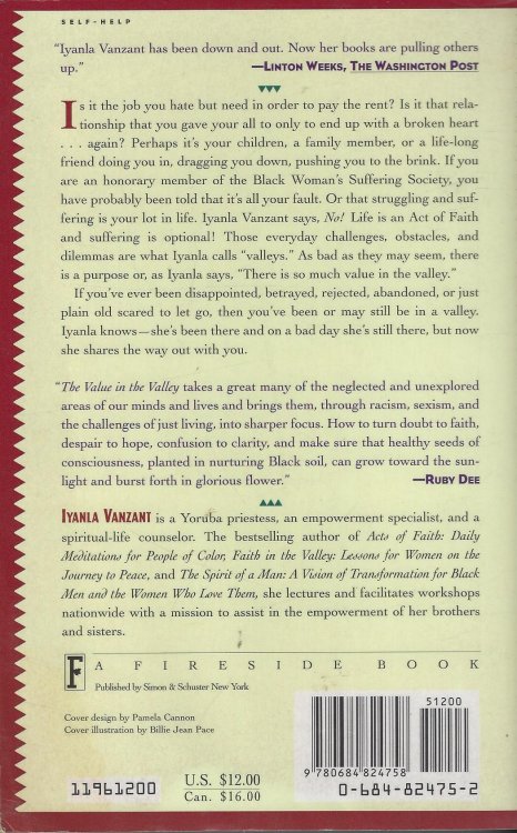 The Value in the Valley: A Black Woman's Guide Through Life's Dilemmas