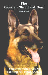 German Shepherd Dog Ps 810