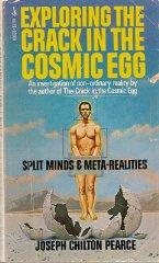 Exploring the Crack in the Cosmic Egg: Split Minds and Meta-Realities