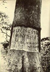 Livingstone and his African Journeys