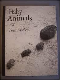 Baby animals and their mothers. Text by Eugen Skasa-Weiss. [Translated by M aria Pelikan]