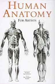 Human Anatomy for Artists