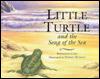 Little Turtle and the Song of the Sea
