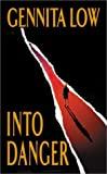 Into Danger (Shadowy Assassins (S.A.S.S.), Book 1)