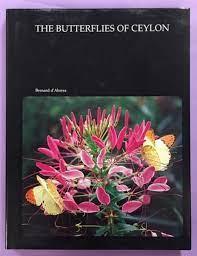 The butterflies of Ceylon
