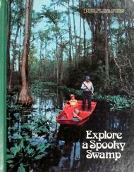 Explore a spooky swamp