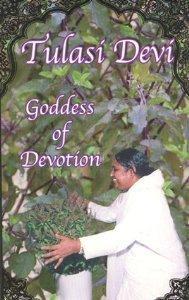 Tulasi Devi, the Goddess of Devotion