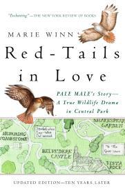 Red-Tails in Love: A Wildlife Drama in Central Park (Vintage Departures)