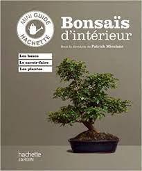 Bonsas d'intrieur