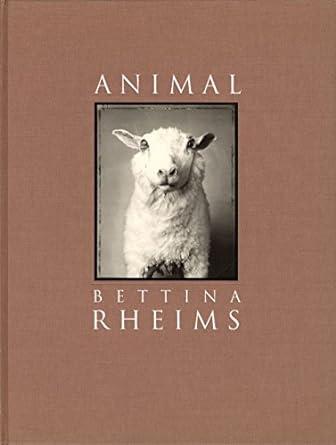 Animal