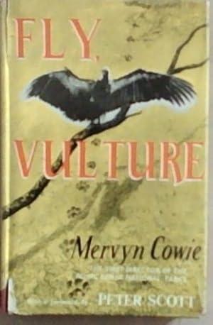 Fly, Vulture