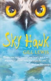 Sky Hawk