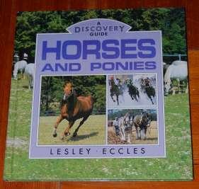 A Discovery Guide Horses and Ponies