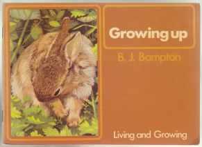 Growing Up