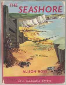 The Seashore