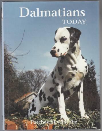 Dalmatians Today