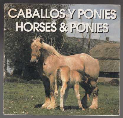 Caballos & Ponies, Horses & Ponies