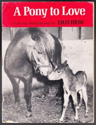 A Pony To Love