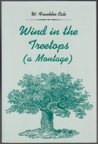 Wind in the Treetops (A Montage)