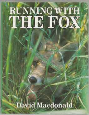 Running With The Fox