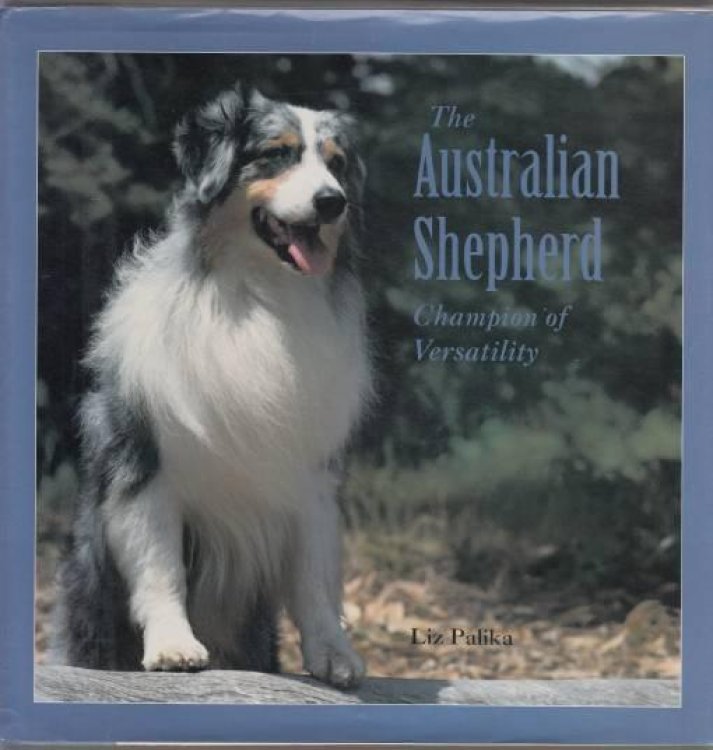 The Australian Shepherd Champion of Versatility