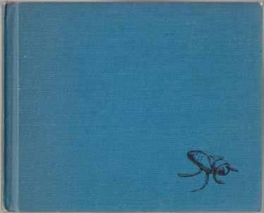 Water Boatman's Journey