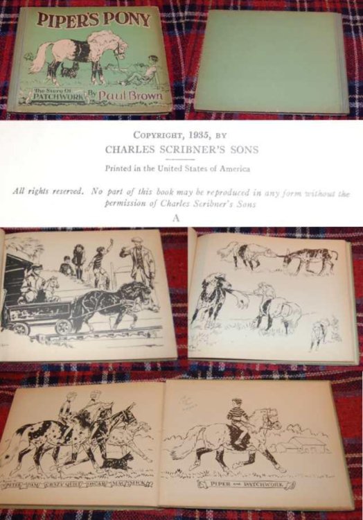 Piper's Pony The Story of Patchwork