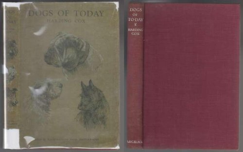 Dogs of Today