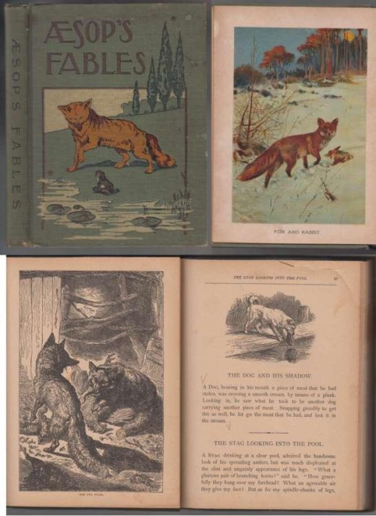 Aesop's Fables