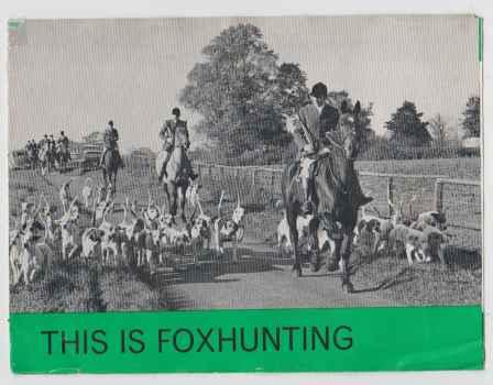 This Is Foxhunting