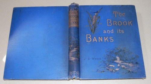 The Brook And Its Banks