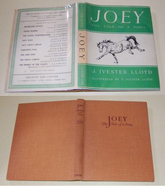 Joey The Tale of a Pony