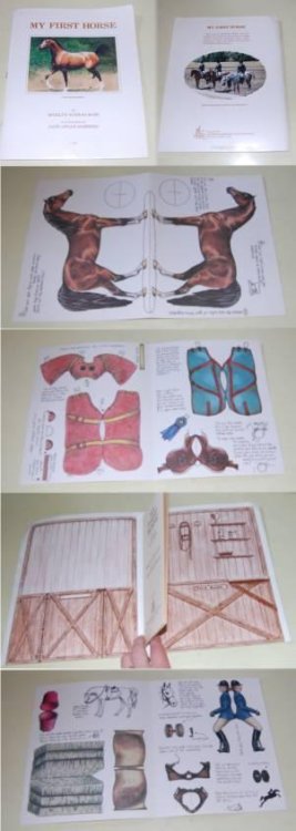 My First Horse. Based On The Purebred Arabian Mare Madam Khemosa. NF Card Cover Stable Book with Pages of Equipment & Madam Khemosa to Cut Out and Play With. RARE ARABIAN COLLECTIBLE